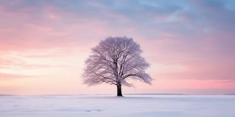 Fotobehang Sundown in winter landscape, snow - covered fields, sky with gradient of pastel pink and blue, lone tree silhouette © Marco Attano