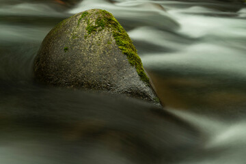 Water 24 – Christopher Lisle