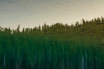 Water 19 – Christopher Lisle