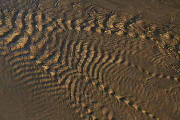 Water 15 – Christopher Lisle