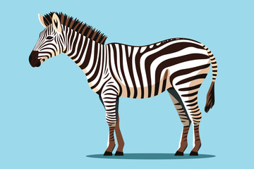 Fototapeta na wymiar Zebra, striped horse, African savannah animal, cartoon vector