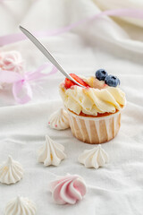 Cake in a plate on a light background