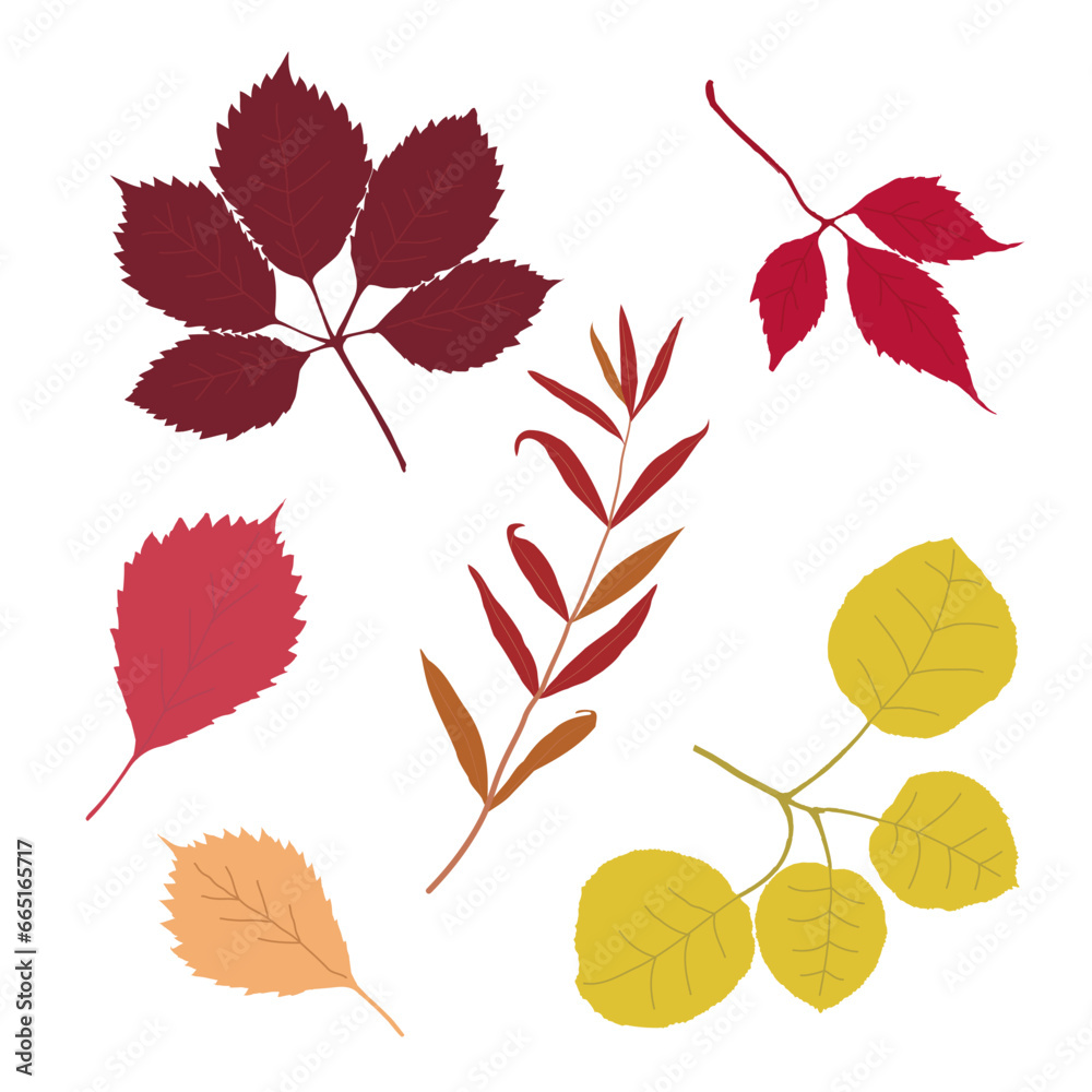 Wall mural Set of stylized tree leaves. Collection of falling autumn leaves.