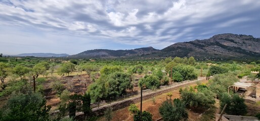 valley Surrounded by orchards of fruit trees and orange trees, we find the town of Sóller with its historic center of narrow cobbled streets full of elegant modernist mansions and traditional Mallorca