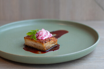 Sous Vide Pork Belly with Pickled Red Onion and Cilantro on a Light Green Plate