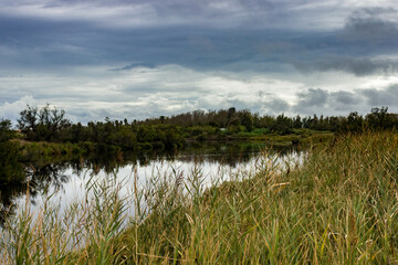 réserve ornithologique plage de Ste marie de la mer 