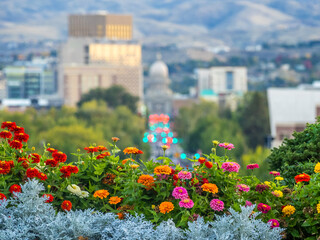 Morning view of downtown of Boise Idaho - obrazy, fototapety, plakaty