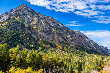 Fall colors in a Liitle Cottonwood Canyon, Salt Lake Cty area - obrazy, fototapety, plakaty
