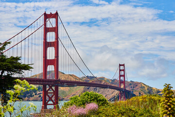 Golden Gate Bridge with blue sky summer day and plants on hill