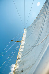Fototapeta premium white sail against the blue sea