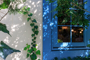 木漏れ日の当たる青い縁の窓と蔦