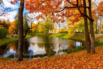 Autumn foliage in Catherine park, Pushkin, Saint Petersburg, Russia