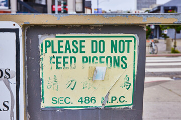 Sign with English and Japanese translation for Please Do Not Feed Pigeons