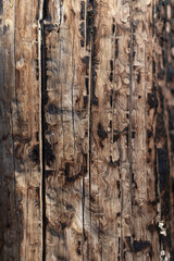 Wood 4 – Christopher Lisle