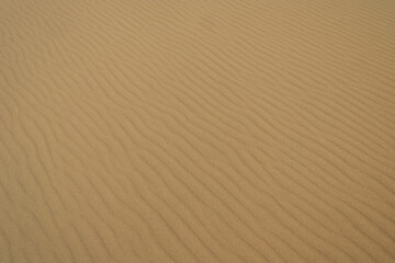 Sand 11 – Christopher Lisle