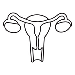 one line female uterus anatomy. vector illustration