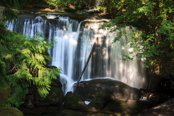 sun shines through trees onto a waterfall