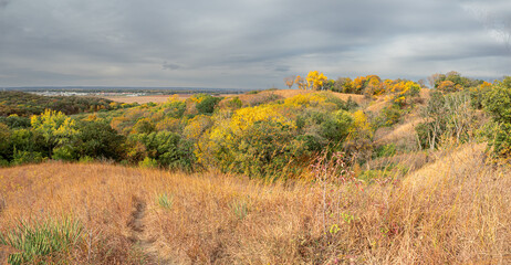 beautiful landscape of trees with autumn colors under cloudy skies