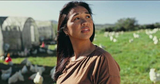 Chicken, farm and woman in field thinking for inspection, animal health or sustainable farming. Agriculture ideas, countryside and person with livestock for agro business, ecology or poultry industry