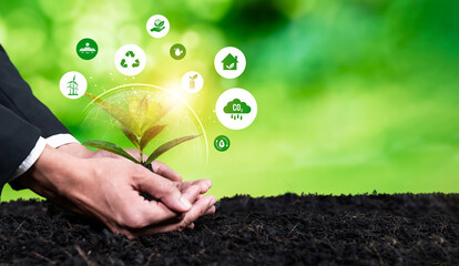 Businessman nurturing plant with eco design icon symbolize commitment to environmental business,...