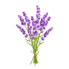 Obraz premium Lavender bouquet illustration 