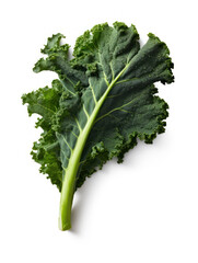 Kale Studio Shot Isolated on Clear Background, Food Photography, Generative AI