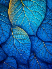 Papier Peint photo Photographie macro Gold and blue macro closeup of leaves texture. Blue and golden yellow leaf illustration, luxury background of multicolored winter golden leaves. Ornamental, natural leaves plants banner in garden