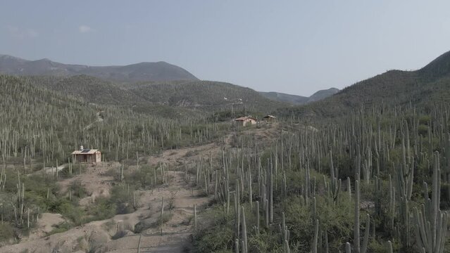 Reserva de Biosfera en Tehuac&aacute;n Puebla, M&eacute;xico
