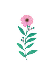 Beautiful flower set