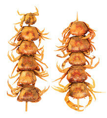 Grilled Ricefield crabs or Somanniathelphusa on transparent background.