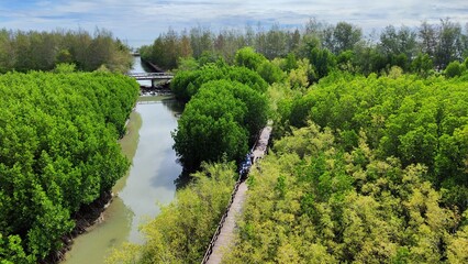 Thailand beach for nature recovery