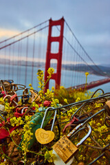 Love You Forever love lock on fence with yellow flowers and blurred Golden Gate_