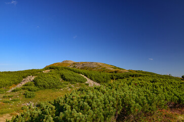 landscape with sky