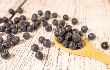 Blueberries and mint leaves