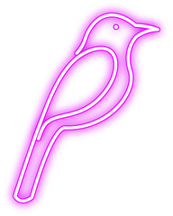 Neon Bird Isolated Vector