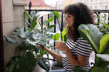 Beautiful young woman spraying potted monstera with water on balcony © New Africa