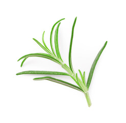 Sprig of fresh rosemary isolated on white, top view