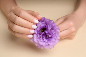 Woman with white nail polish holding violet eustoma flower on beige background, closeup