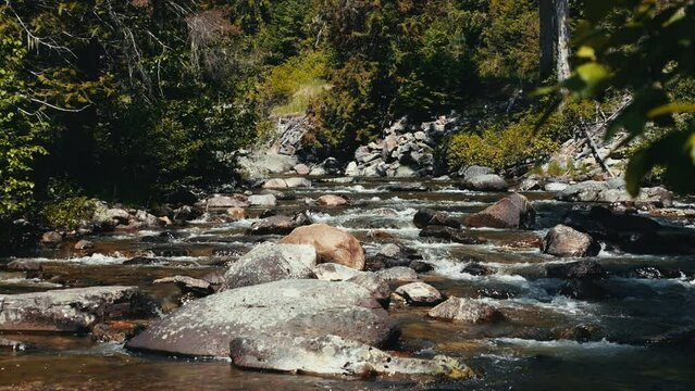 Pretty stream flowing in montana mountains in summer in slow motion 