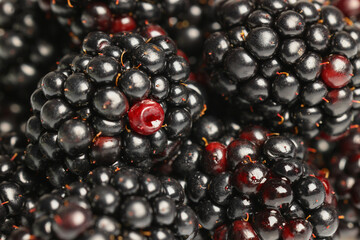Many tasty ripe blackberries as background ,closeup