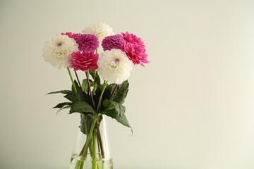 Bouquet of beautiful Dahlia flowers in vase near white wall, space for text