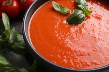 Delicious tomato cream soup in bowl on table, closeup