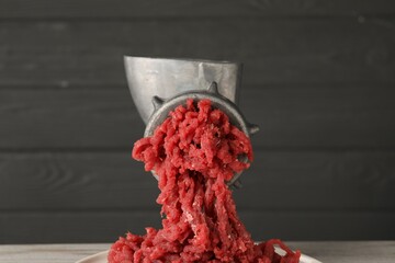 Metal meat grinder with beef mince against grey background