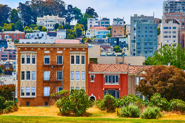 Row of colorful San Francisco homes by field with rows of homes behind