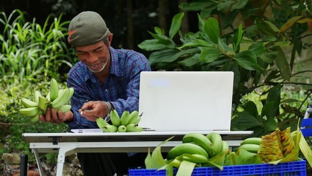 Gardener leverages a computer database to meticulously track the yield of his organic vegetables, adhering to the concept of sustainable agriculture that eschews chemical fertilizers

