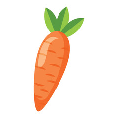 Vector healthy orange carrots graphic illustration