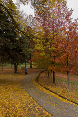 Trinity Bellwoods Park 