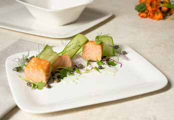 Grilled salmon salad angled view plated