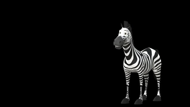 Funny Zebra Jump in to Wave. Animal Peaking Out From Blank Transparent Screen.