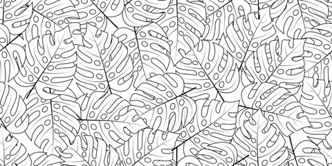hand drawing monstera leaves seamless pattern © Sutana